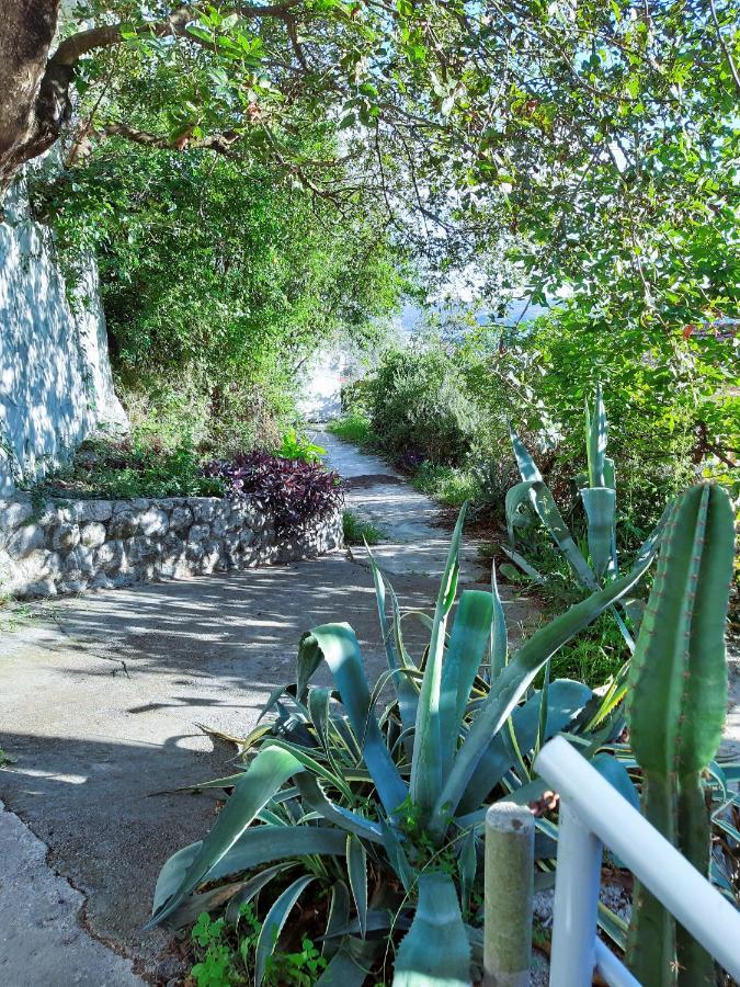 Adriabay Studio Tivat Exterior photo